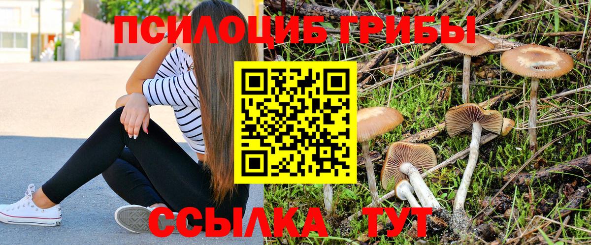 Галлюциногенные грибы Cubensis  Вход с VPN  как найти закладки  Иваново 